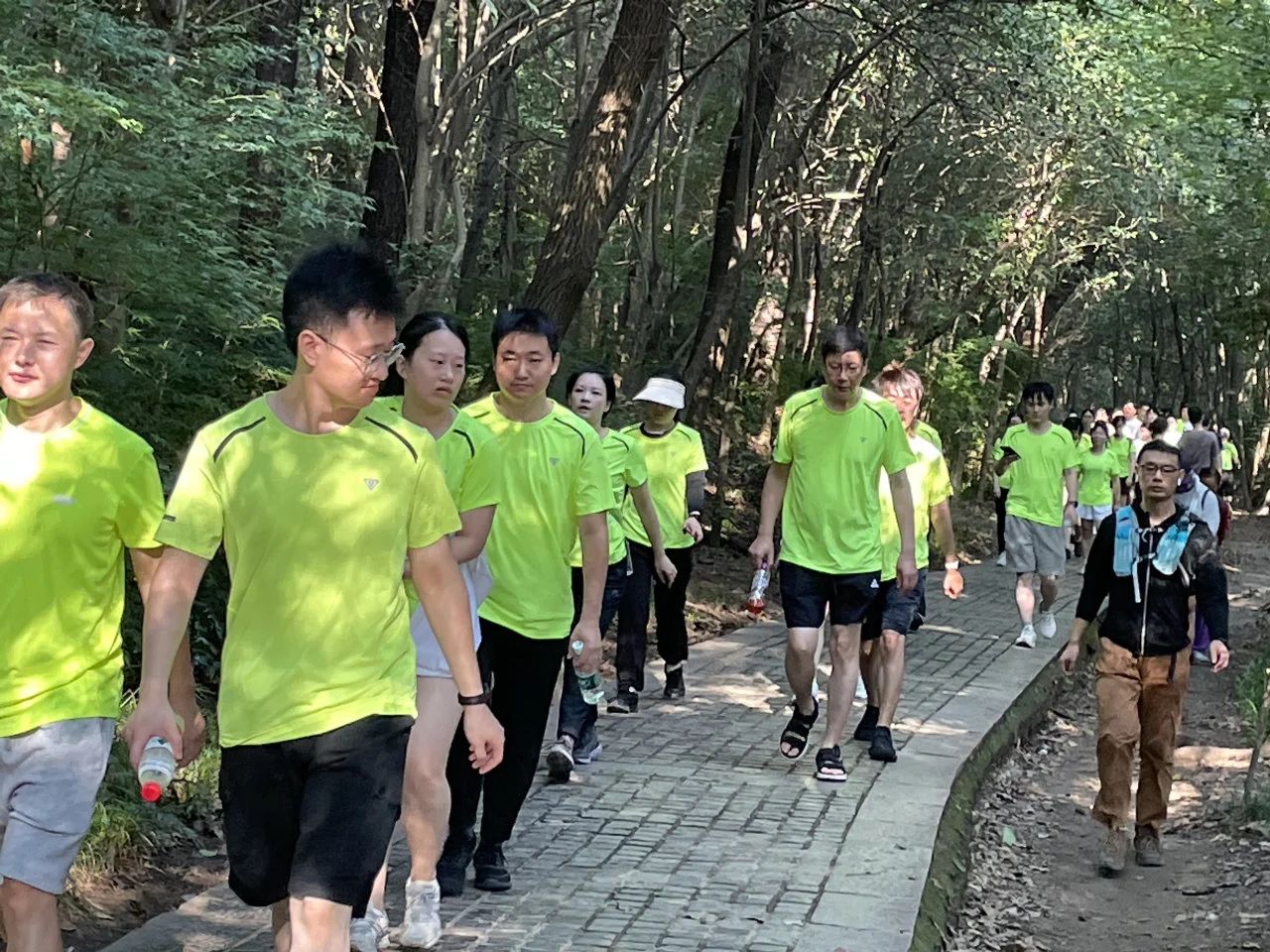 28圈(中国集团)官方网站