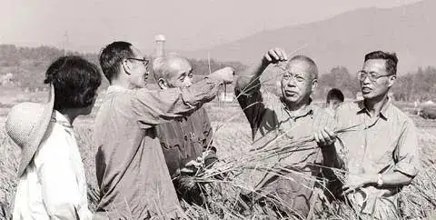 28圈(中国集团)官方网站
