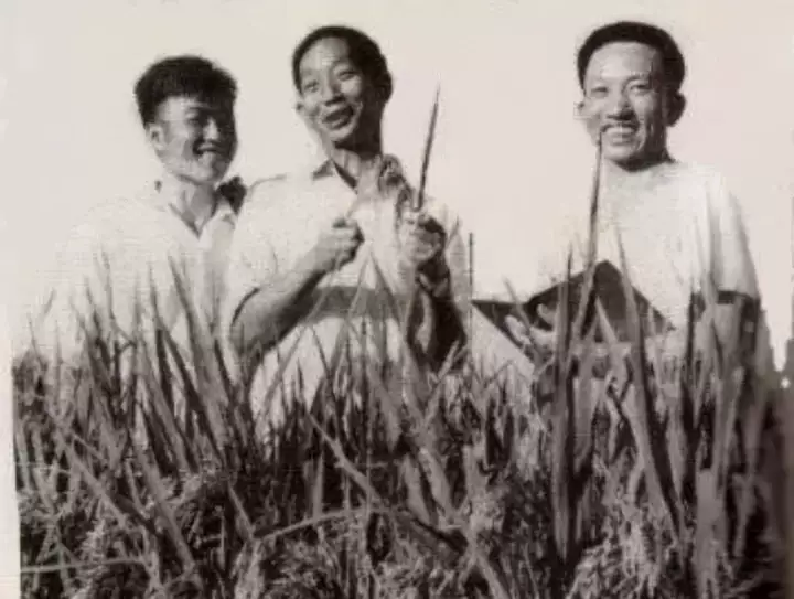 28圈(中国集团)官方网站