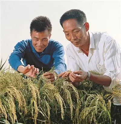 28圈(中国集团)官方网站