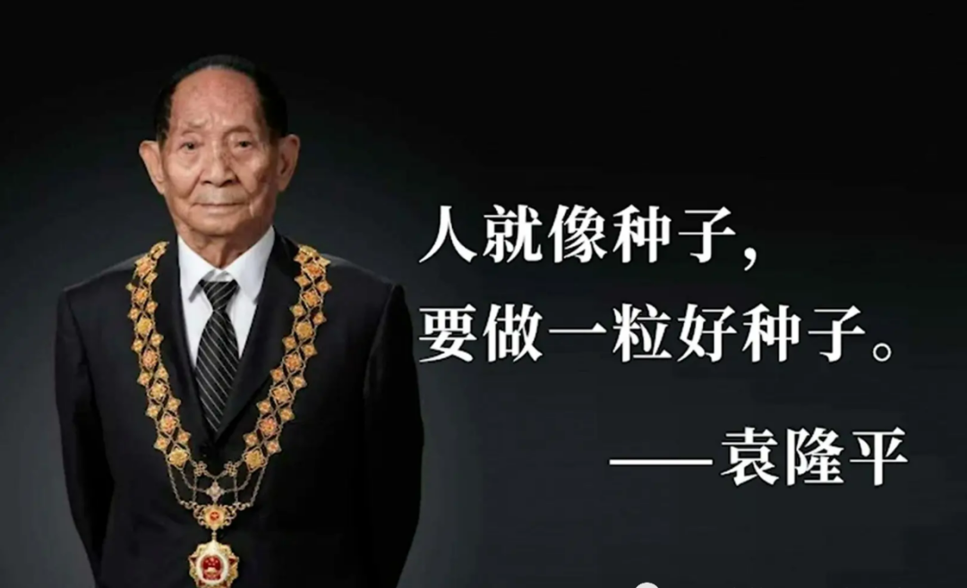 28圈(中国集团)官方网站