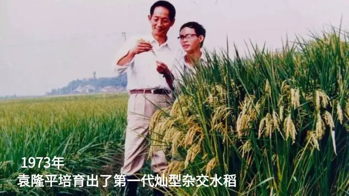 28圈(中国集团)官方网站